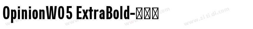 OpinionW05 ExtraBold字体转换 OpinionW05 ExtraBold字体转换